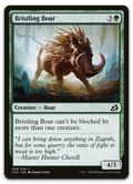 Product image for TCG 212008