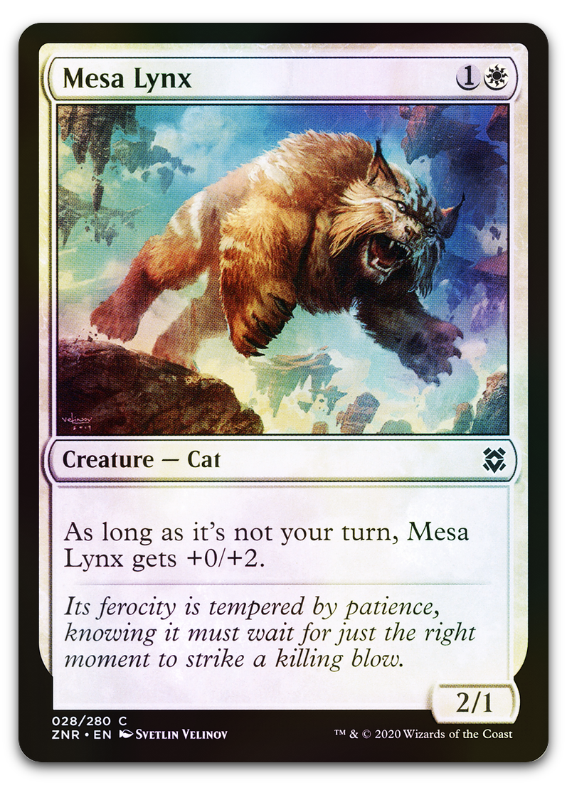 Product image for TCG 222087