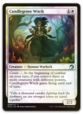 Product image for TCG 247988