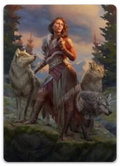Product image for TCG 249185
