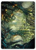 Product image for TCG 481358