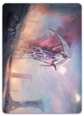 Product image for TCG 481421