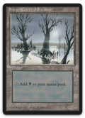Product image for TCG 4884