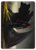 Product image for TCG 500242