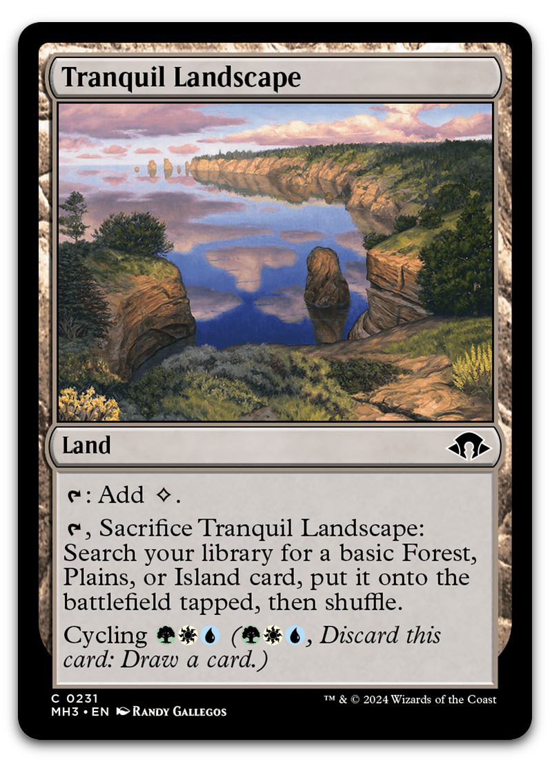 Product image for TCG 553296
