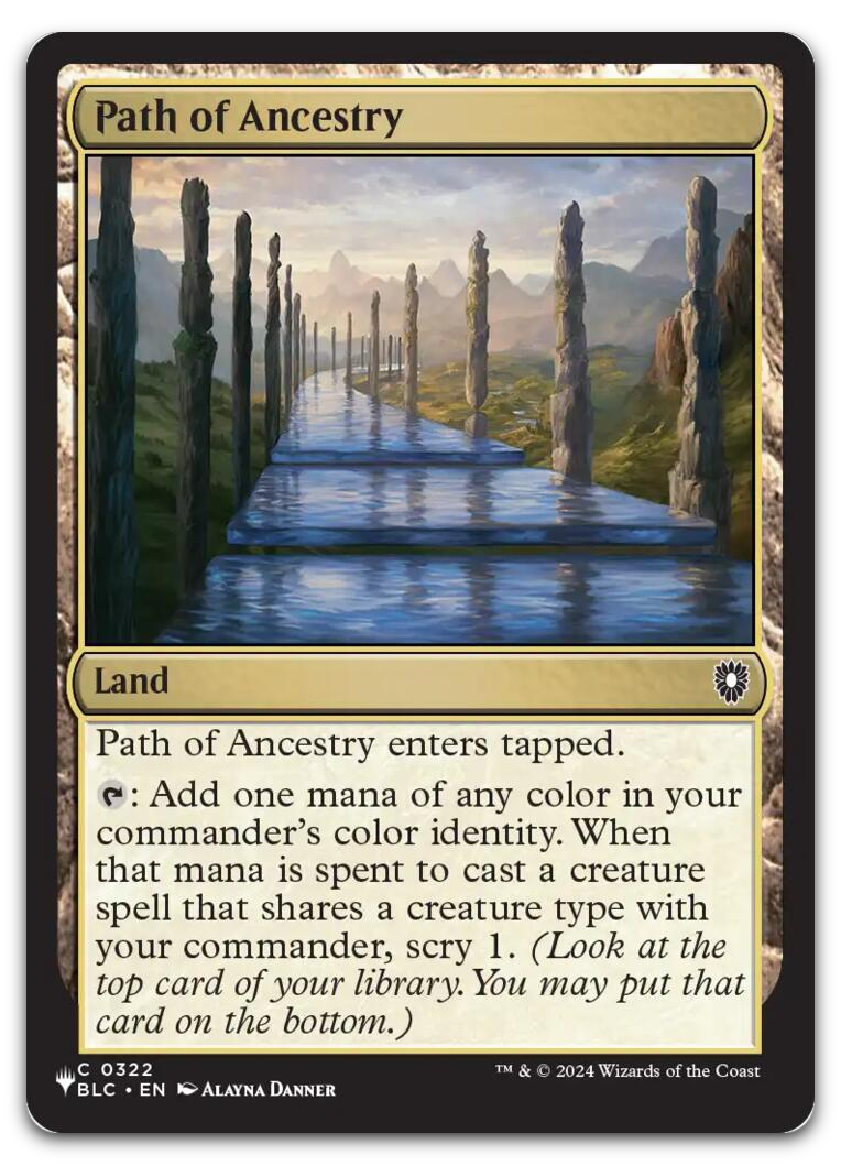 Product image for TCG 721466