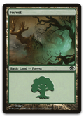 Product image for TCG 80282